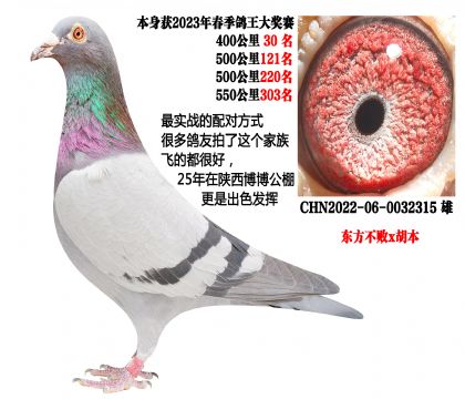 �����ָ룬��ʵս��Է�ʽ����������x������