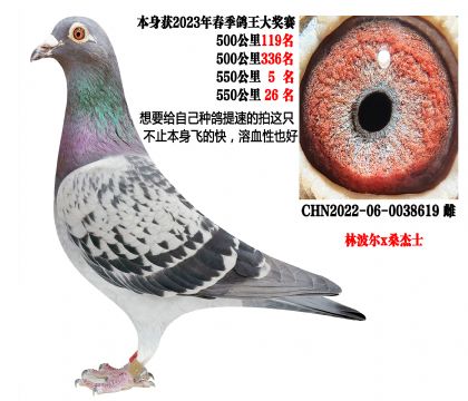 ���ص㣩�����ִƣ�����500����5����26������Ѫ�Էǳ�ţ��