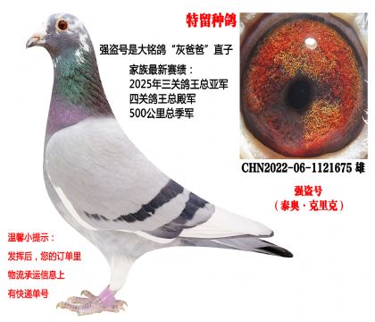 �����ָ루ǿ����ֱ�