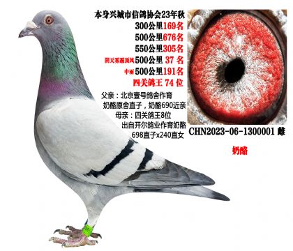 �Ĺظ���74��������Ҽ������x������ҵ���ң�