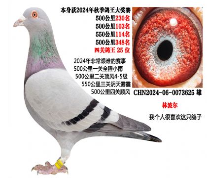 24���Ĺظ���25�����ǳ�ϲ�����۸룩