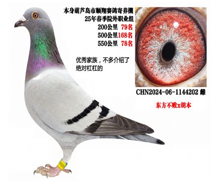 25�괺550����78������������x������