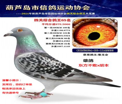 �Ĺظ���65������������x������