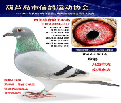 �Ĺظ���45����ʵս���壨���ǲ��ˣ�