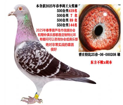 ���ص㣩25�괺���رȻ���500����89����7��