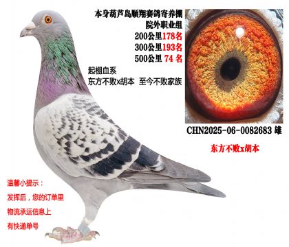 25���＾500����74������������x������