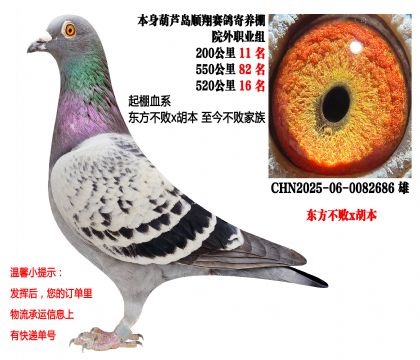 25���＾����11����82����16������������x������