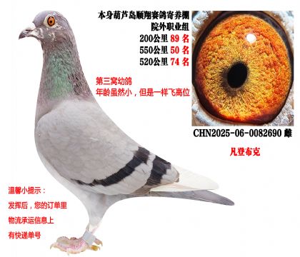 25���＾����89����50����74�������ǲ��ˣ�