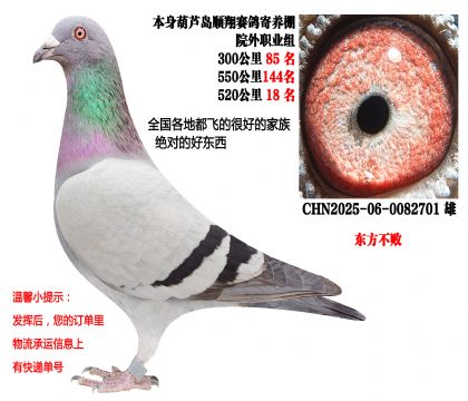 25���＾520����18�����������ܣ�