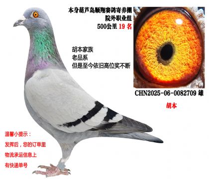 500����19�������񲻰ܼ��壨������