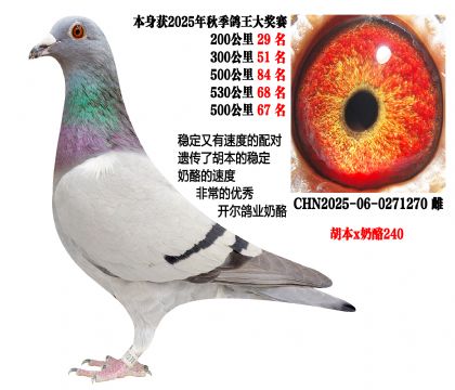 25���＾5��ǰ����������x�������ң�