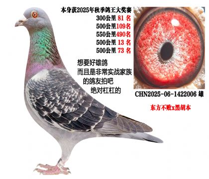 �¸ºõ��۸룬500���ﵥ��13����73������������x������