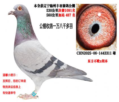 25������������񽱸루��������x������