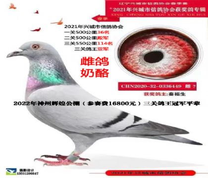 �����ص㣩���ظ����Ǿ������ݻԻ͹������ظ����ھ�ƽ����