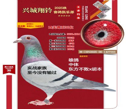 ����Ʒѹ�ᣩ500�����ܹھ�����������x��������������