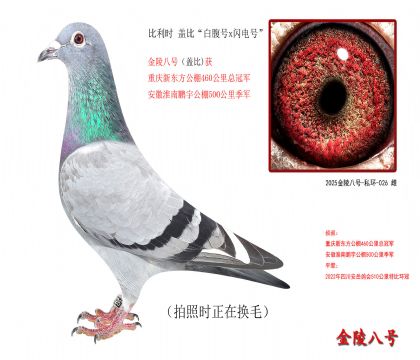 2������ʱ �Ǳȡ��׸���x����š�