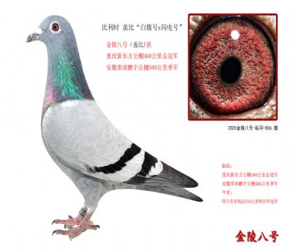 3������ʱ �Ǳȡ��׸���x����š�