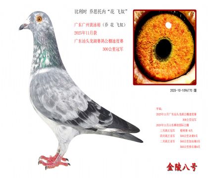 7������ʱ ��˼���ڡ��� ��ū��