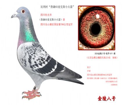 9������ʱ��ղɭ03���˹С�����