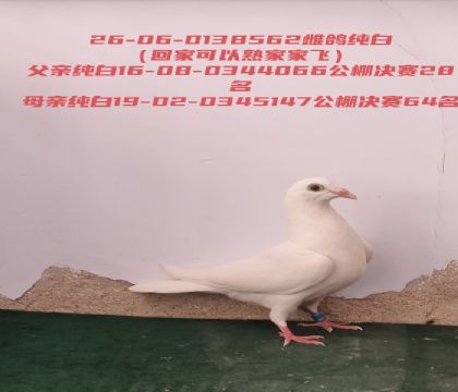 ���׹������28����64���ƻؼҿ��Լҷ�