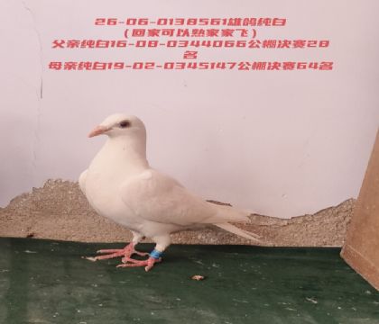 ���׹������28����64���ƻؼҿ��Լҷ�