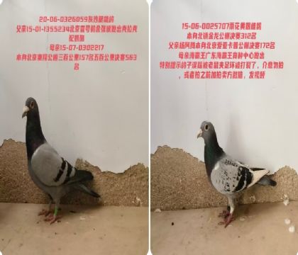 �������118��350��540����ĸ