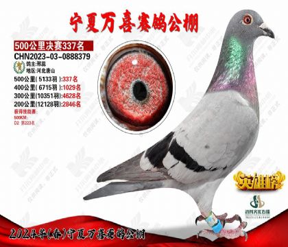 24�괺������ϲ����337��