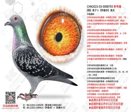 ��ֱ�ӡ�������ֱŮ