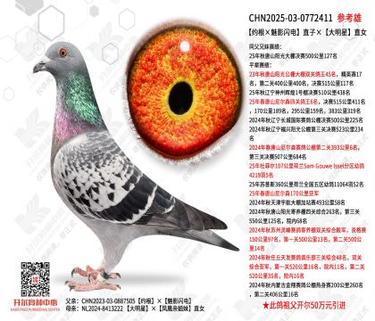 ��Լ������Ӱ���硱ֱ�ӡ�������ֱŮ