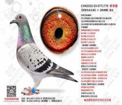 ��Ŭ�����ֵܡ�����ʨֱŮ