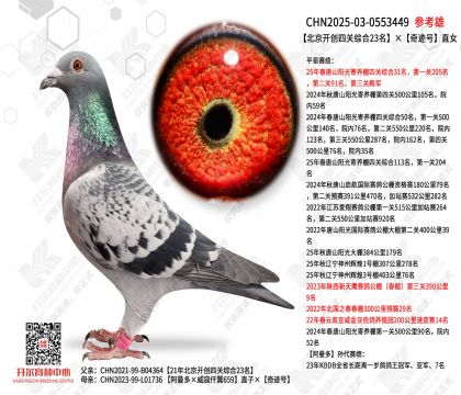 ���������Ĺ��ۺ�23�����漣��ֱŮ