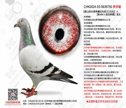 ��ɽ����������Ĺظ���139��������484��������ӥ��ֱŮ