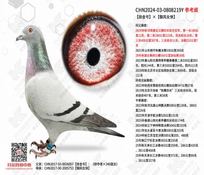 �ӽ�š�����Ů��