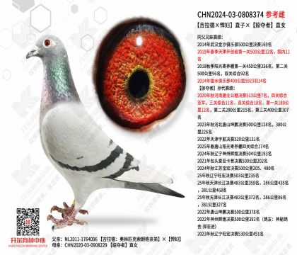 �������¡�������ֱ�ӡ��Ӷ���ֱŮ