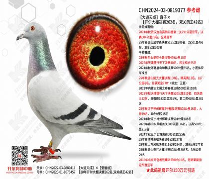 ������ֱ�ӡ������������262����˫�ظ���42��