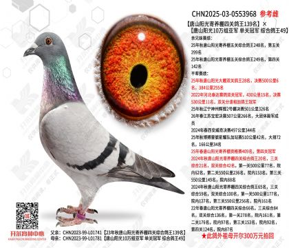 ��ɽ�����Ĺظ���139������ɽ����10�����Ǿ� �ۺϸ���49