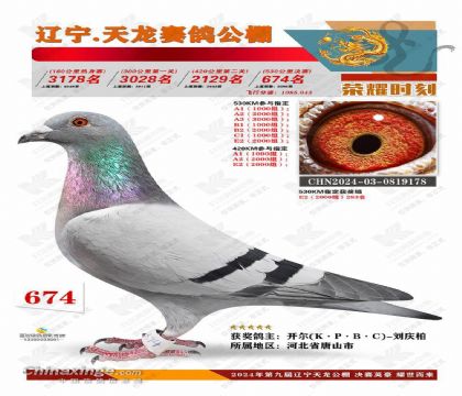 24����������������674��