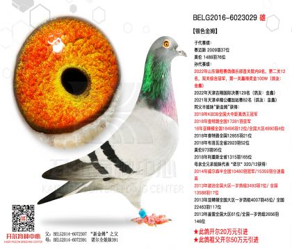 2����-6023029