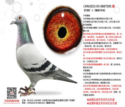 2����-0887505