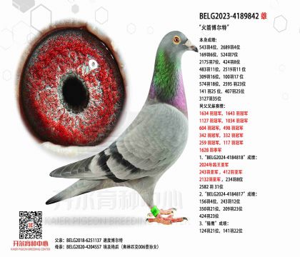 2����-4189842