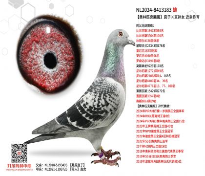 2����24-8413183