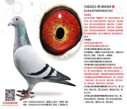 2����-B04364