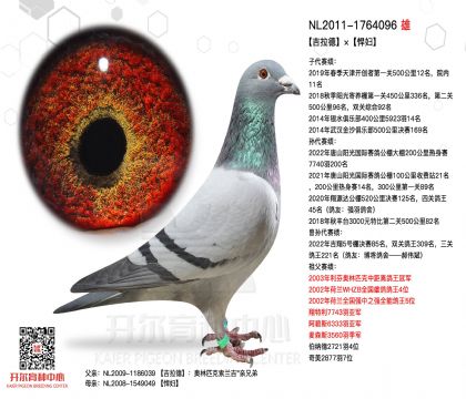 2����-1764096