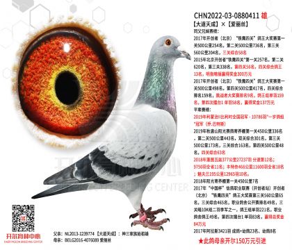 2����-0880411