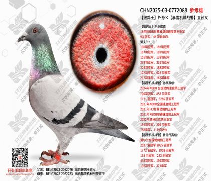 �������������ѩ��еս��ֱ��Ů