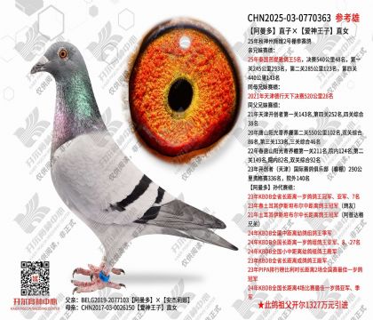 ������ֱ�ӡ���������ֱŮ