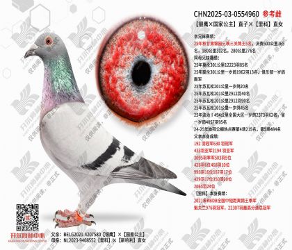 ����ӥ�����ҹ�����ֱ�ӡ����ֱŮ