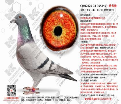 �������ֵ�ֱ�ӡ���������