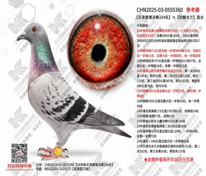 ���Դ������334��������ľ��ֱŮ