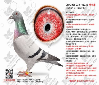 �����ء�³��ֱŮ